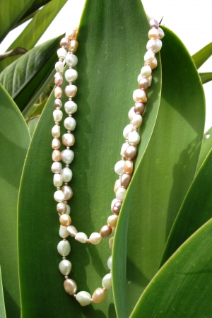 Double Strand Mulit Coloured Pearls